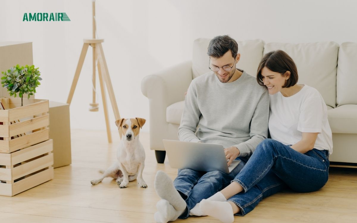 Couple sitting on a couch with a dog in a living room, using a laptop.